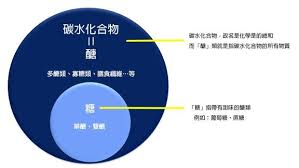 醣類 是碳水化合物的總稱 舉凡 膳食纖維 多醣 單醣 寡醣等都是碳水化合物 糖果 澱粉 也是醣類唷 粥 飯 麵 麵包 等主食 都是碳水化合物的 多醣類 身體如果缺乏澱粉提供的能量 會轉而利用蛋白質產能 可能消耗到肌肉 產生更多