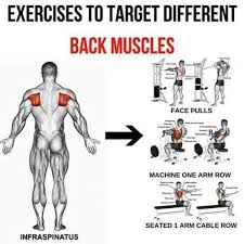 Best leg workouts to build muscle the leg muscles can be effectively trained at home. Gym Workouts Gym Workout Chart Ii Facebook
