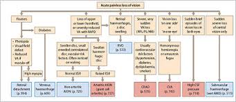 Image result for Acute Vision Loss