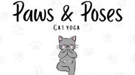 Paws and Poses - Cat Yoga @ Purrfectly Brewed Cat Cafe