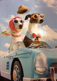 Dog Humor Couple Card Two Dogs In A Car Fun For Celebration Customize It For Any Occasi Happy Anniversary Quotes Happy Anniversary Cards Anniversary Funny