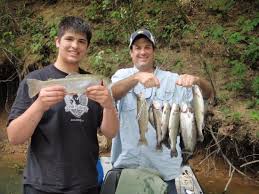 Fishing calendar, solunar forecast, fishing forecast eureka, united states. Beaver Dam Store Eureka Springs 2021 All You Need To Know Before You Go With Photos Tripadvisor