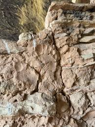 I'd like to meet the owner of this foot and hear their story one day.