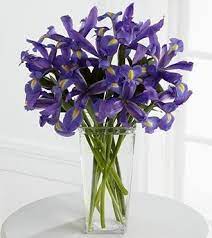 Blue Irises Ready For Delivery In Vancouver Bc Canada Flowers Delivered Flower Delivery Iris Flowers