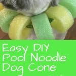 There are alternative dog cones that you can make from things around your house. Diy Pool Noodle Dog Cone Because Your Dog Is Worth It Diy Noodles