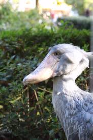 The site owner hides the web page description. à¦Ÿ à¦‡à¦Ÿ à¦° æå˜´å·´ æ˜¨å¤©åŽ»äº†ä¸Šé‡Žå‹•ç‰©åœ' å‹•ç‰©å€'æš–æ´‹æ´‹çš„æ›¬å¤ªé™½ éžå¸¸è¿·äºº Https T Co Pgkhlnxpet à¦Ÿ à¦‡à¦Ÿ à¦°