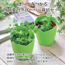 栽培セット きっとみつかる 四つ葉のクローバー 栽培キット 四つ葉 クローバー 栽培 植物 かわいい プレゼント グリーン インテリア 置物 グッズ Sst104 癒しグッズ専門店 なごみ 通販 Yahoo ショッピング