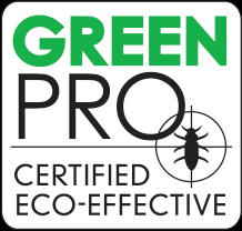 Organic pest control in san antonio. Pest Control In Houston Natural Pest Control Chem Free