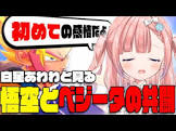 白星あわわ