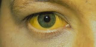 Maybe you would like to learn more about one of these? Detail Artikel Dinas Kesehatan Daerah Istimewa Yogyakarta