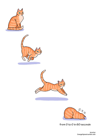 Pin By Ser Dani On Cutes Cute Cat Memes Cute Cat Gif Cat Facts