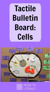 A cell is the fundamental structural and functional unit of all life forms. Tactile Bulletin Board Cells Paths To Literacy