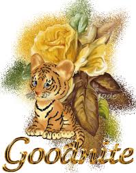 Explore and share your favorite good. Good Night Animated Images Gifs Pictures Animations 100 Free