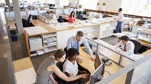 Bila bro dan sis tertarik untuk bekerja di kantor pajak sebagai tenaga kebersihan (cleaning service) atau tenaga keamanan (satpam) maka bisa memasukkan lamaran ke bidang/seksi umum dan kepatuhan internal kantor pajak. 5 Cara Menghadapi Lingkungan Kerja Yang Toksik