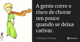 A Gente Corre O Risco De Chorar Um Pouco O Pequeno Principe