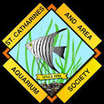 Tropical Fish Auction