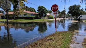 Holly believes pete had buried his treasure between a gorge and a closely unidentified tomb. Tidal Flooding A Growing Problem For St Pete Beach