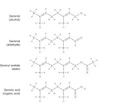 functional group priority chart unique chemical functional