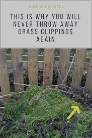 9 Things To Do With Grass Clippings You Probably Never Thought Of Garden Ideas Gardening Ideas Gardeni Grass Clippings Gardening For Beginners Gardening Tips