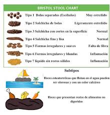 Formatos De Heces Https Www Lasendanatural Com