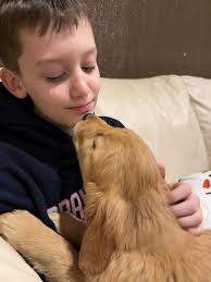 𝗛𝗮𝗽𝗽𝘆𝗡𝗮𝘁𝗶𝗼𝗻𝗮𝗹𝗣𝘂𝗽𝗽𝘆𝗗𝗮𝘆! Thank you, FOTS Rescue for  finding me my furever family! I'm so happy living in NY. This is a picture  of me with my big brother, Shadow. Love, Sophie. xoxox |