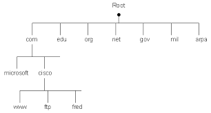 Domain Name System Dns Resource Record