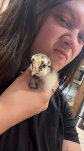 Mean muggin since day one 😂😂