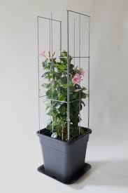 Modular Wire Column System To Support Plant Perfectly Climbing Plants Grow And Flower Better Ideal For Climbing Plants C Easy Plants Container Plants Plants