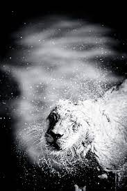 404 Black And White Photography Portraits Art Photography African Artwork