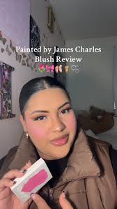 Is this @Painted by @James Charles $35 blush duo worth your money?! 😱🤔🫤  #painted #paintedblush #paintedblushreview #blushreview #jamescharles  #foryou #foryoupage #fyp