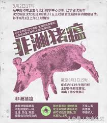 獎學金 補助 休閒農場 寵物 農舍 青年農民 有機 非洲豬瘟 秋行軍蟲 休耕 農藥 飼料. éžæ´²è±¬ç˜Ÿç™¼æºæ–¼è‚¯äºž å¾Œä¾†å‚³å‡ºéžæ´² ä¿„ç¾…æ–¯ç‚ºä»€éº¼ç–«æƒ…åš´é‡ æ¯æ—¥é ­æ¢