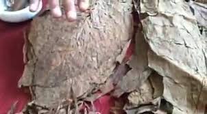 His dream of finding a mythical gold mountain is challenged by his scheming wife, the colonial authorities, the political machinations of the local chief and arab traders. Hanyut Movie