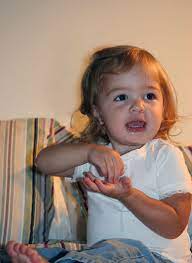 Baby Sign Language The Survival Guide For Rookie Moms