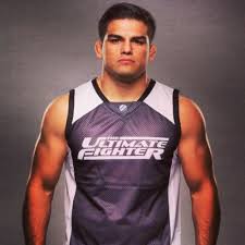 The joint at the hard rock hotel & casino, las vegas, nevada, usa. Tuf 17 Finale Picks Uriah Hall 370 Vs Kelvin Gastelum 280 Mmaoddsbreaker