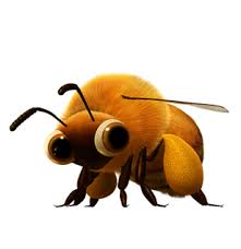 the bee very nice to you brings good stuff to the ladybug bee ladybug animation