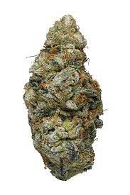 Buds spring to the touch, and not crumbly, which indicate freshness. Blue Cookies Strain Hybrid Cannabis Review Cbd Thc Hytiva