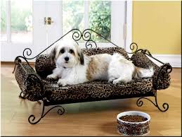 rossijskij servis onlajn dnevnikov divan dlya sobak krovati dlya sobak mebel s zhivotnym printom