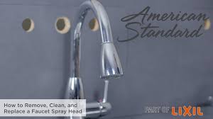 clean, and replace a faucet spray head