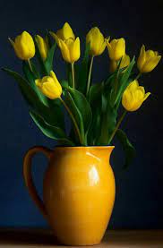 Sign In Tulips In Vase Still Life Flowers Yellow Tulips