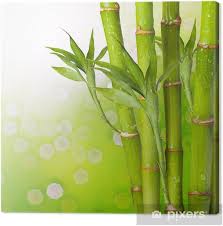 Leinwandbild ratgeber & vergleich 2021. Frischer Bambus Leinwandbild Home Decor Home Garden