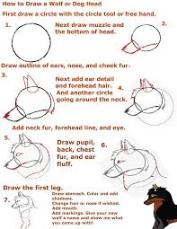 How To Draw A Wolf Or Dog Head By Tigerstarwolf On Deviantart Drawing Tutorial Drawing Base Drawing Tips