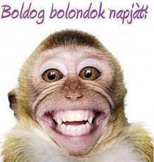 Angliában minden bolondok napjaként (all fools day) emlegetik, franciaországban és olaszországban pedig áprilisi halnak (poison d'avril, illetve il. Humorfalva Aprilis 1 Bolondok Napja Easy Facebook