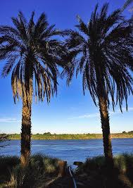 Palm Trees On Nile River Banks Soleb Northern Sudan أشجار النخيل علي ضفاف النيل سولب شمال السودان By Eric La Nile River River Bank The Beautiful Country