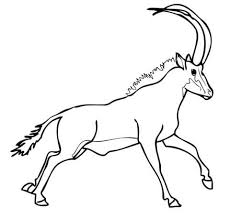 Here are some free printable pronghorn coloring pages. Newest Coloring Pages