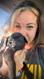 Mr Andre, The first day we got him at 8 weeks old and now here he is  getting ready to celebrate his 10th birthday ..The best and kindest dog  ever.