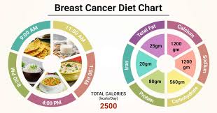 Diet Chart For Breast Cancer Patient Breast Cancer Diet