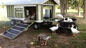 Over 300 block house & cottage plans with basement floor and terrace, plus construction cost house plans. Portable Goose Wagon Coop And Pond With Rain Catchment System Youtube