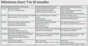 Daily Info Of Parenthood Baby Milestone Chart 7 12 Months