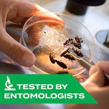 Terro Spider Killer Aerosol Spray