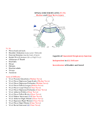 Spinal Cord Injury Level T1 T6 Spinal Cord Injury Levels Occupational Therapy Assistant Occupational Therapy